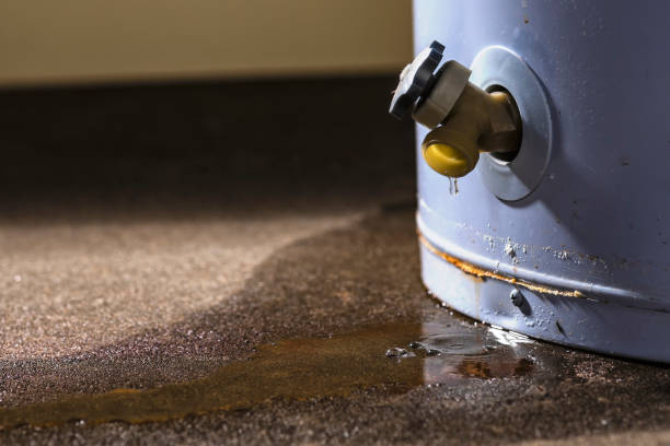 Best 24-hour water damage restoration  in Federal Y, WA