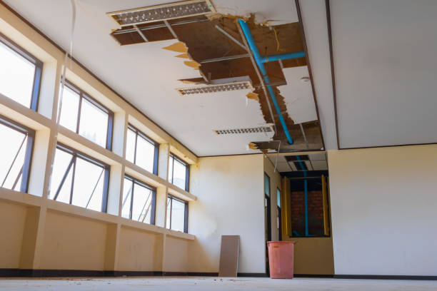 Best Water damage restoration near me  in Federal Y, WA