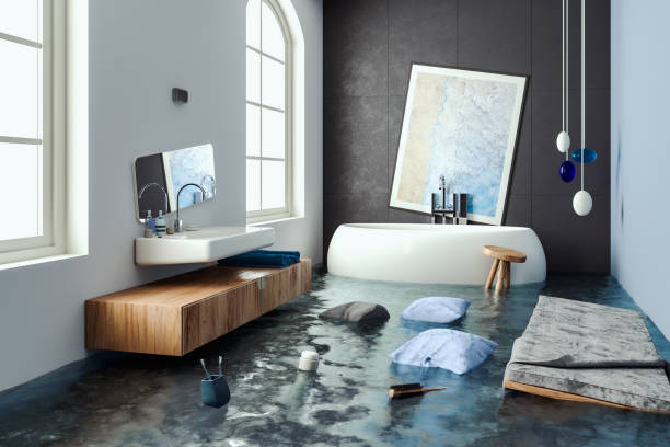 Best Water damage restoration near me  in Federal Y, WA