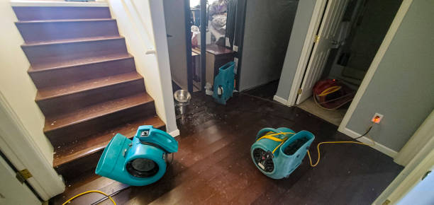 Best Ceiling water damage repair  in Federal Y, WA