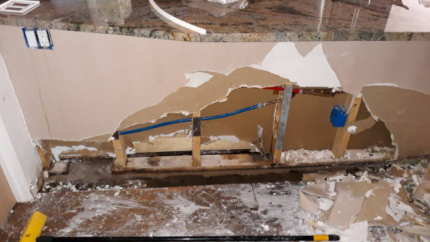 Best Professional water damage repair  in Federal Y, WA