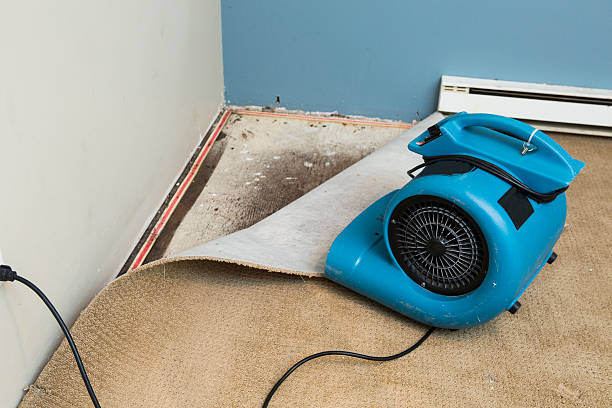 Best Flood damage cleanup  in Federal Y, WA